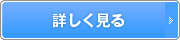 �ڂ�������