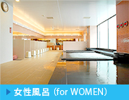 �������C�ifor WOMEN�j