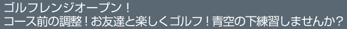 �S���t�����W�I�[�v���I
